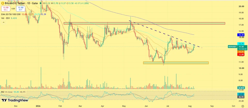 BSV price prediction