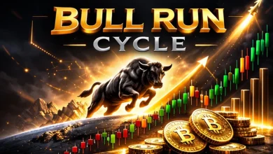 bull-run-cycle