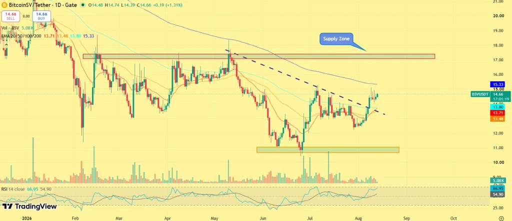 BSV price prediction