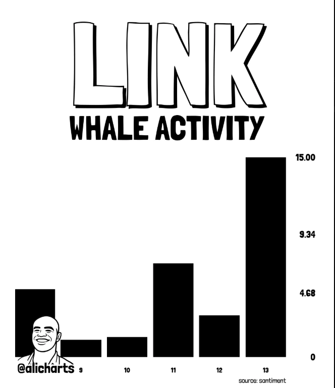 LINK whales activity