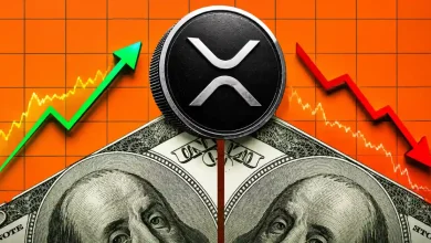 XRP coin resting atop dollar bills with green up and red down arrows.