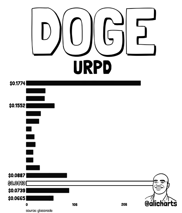 DOGE on-chain data