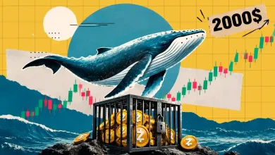 Crypto whale swimming above cage of Zcash coins with $2000 target chart