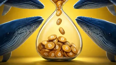 where are crypto whales buying next after bitcoins rally