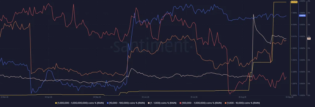 RAIN Price Eyes New High as Whales Absorb Retail Selling