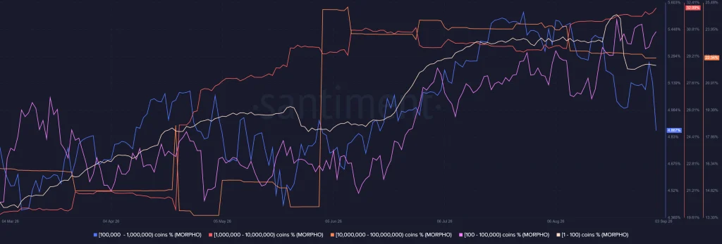 MORPHO Holder Distribution Sends Mixed Signals
