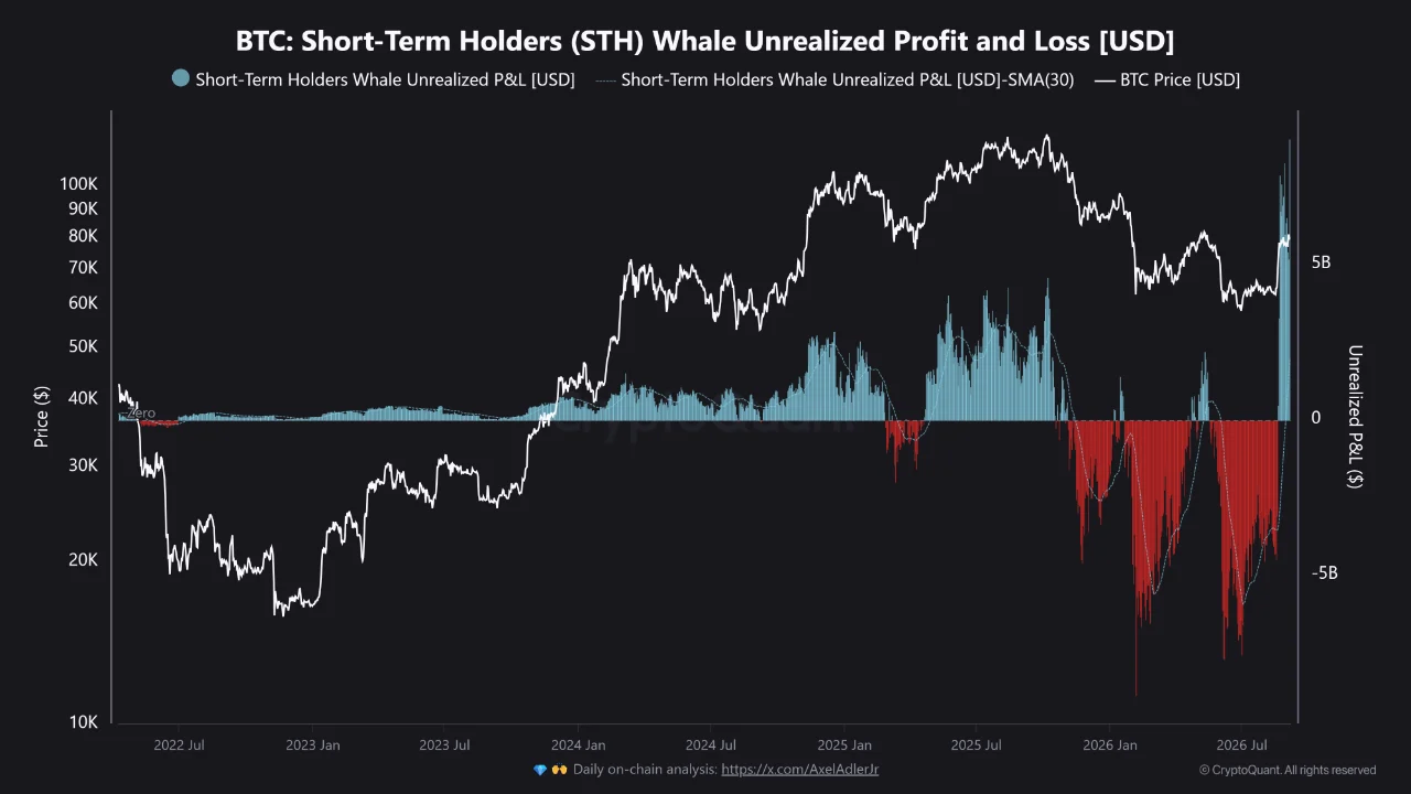 BTC STH holder in profit
