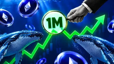 ethereum price momentum builds as 1m whale transactions surge