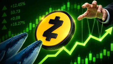 Zcash ZEC coin with whales, growth chart, and hand with strings.