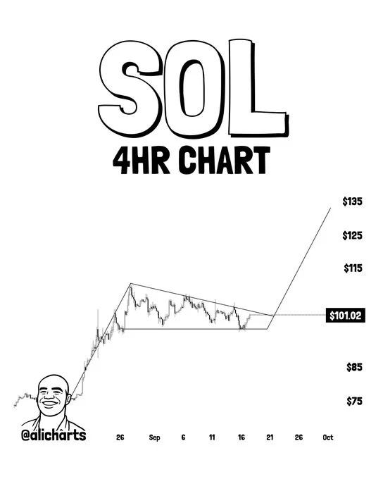 SOL Price Needs To Clear One Key Level