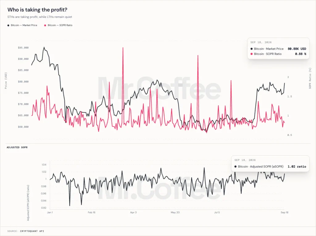 Bitcoin Price Rebound Shows Short-Term Holders Taking Profit