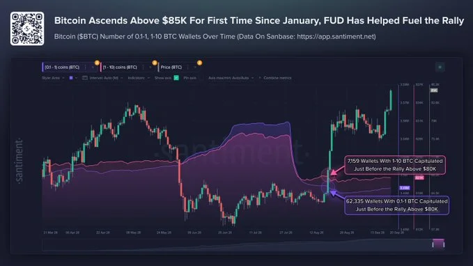 Did Smaller Bitcoin Holders Exit Before $85K?