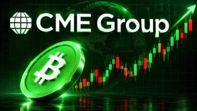 bitcoin cash price surges 30 percent as cme futures spark breakout can bch hold 350 dollars
