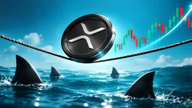 xrp price is rallying after a 2.2b whale buy what happens at 1.60