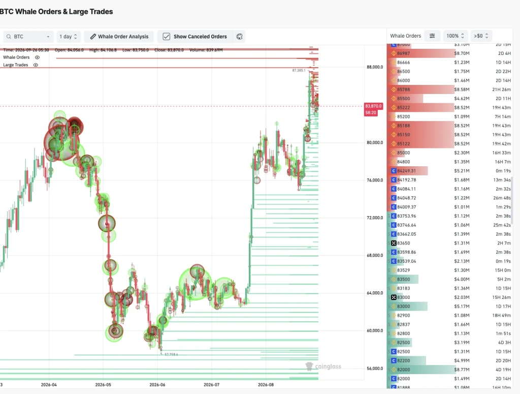 bitcoin whale flow