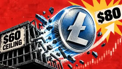 Litecoin coin breaking a $60 ceiling structure toward $80 target