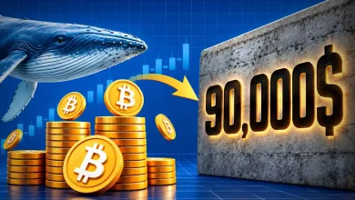 Blue whale above stacks of Bitcoin pointing toward a stone wall marked $90,000