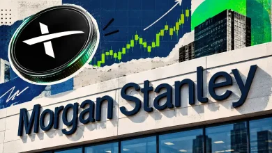 can spacex price rally extends morgan stanleys sees 300 target