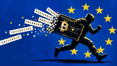 Hooded figure stealing a Bitcoin wallet leaving binary code against EU flag