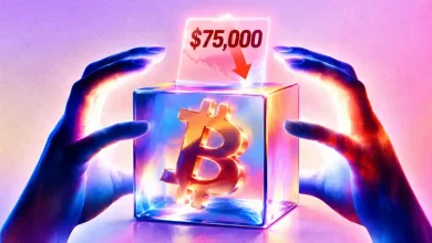Glowing hands surrounding glass box with Bitcoin coin and $75,000 price drop sign