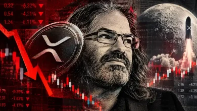 Ripple News ‘Going To The Moon Is A Solved Problem,’ Says David Schwartz On What’s Holding XRP Back