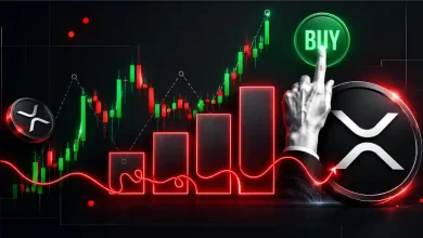 xrp shows bottoming signals as on chain activity rises ahead of xrpl upgrade