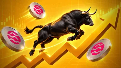 sei price prediction can sei rally from 0.06 dollars to 1 dollar