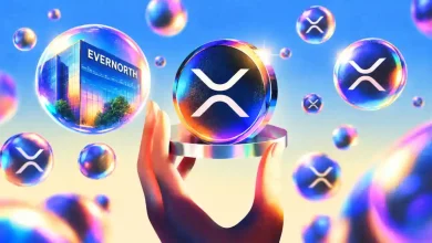 Evernorth XRP Holdings to Target Higher XRP Per Share, CEO Says